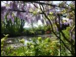 Giverney - Wendy Ferguson